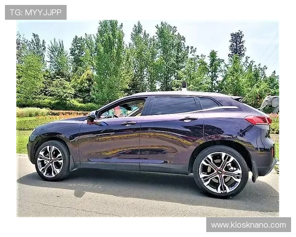 欧博二代D豪华版设计创新,彰显奢华品质与卓越性能结合