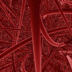 ارتباط مخابراتی بین نانوزیست‌حسگرها در خون