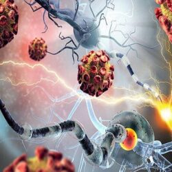نانوپهپادها به جنگ سرطان می روند