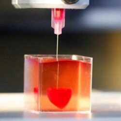 با کمک فناوری نانو؛
                
                محققان ایرانی داربست طلایی برای مهندسی بافت قلب ساختند